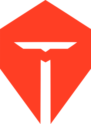 Top Esports logo